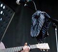 FM-IX_IB-20160911-0658